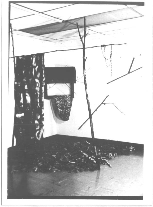 Mixed media installation